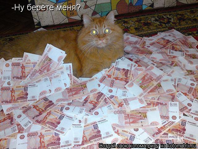 -Ну берёте меня?... Котоматрица: -Ну берёте меня?