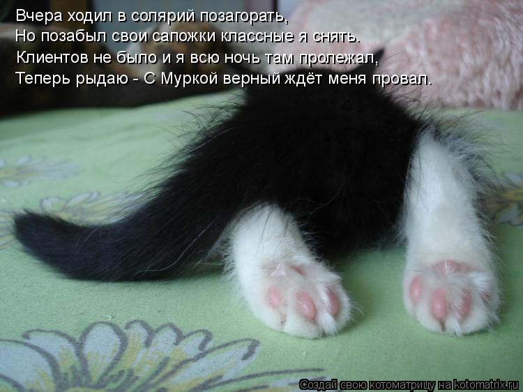 Котоматрица: Вчера ходил в солярий позагорать, Но позабыл свои сапожки классные я снять. Клиентов не было и я всю ночь там пролежал, Теперь рыдаю - С Мурко