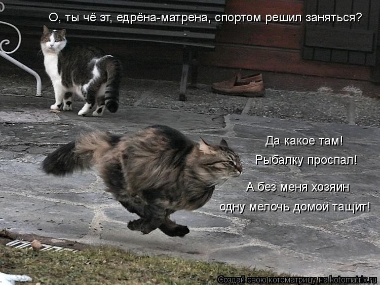 О, ты чё эт, едрёна-матрена, спортом решил заняться? Да какое там! Рыбалку проспал! одну мелочь дом... Котоматрица: О, ты чё эт, едрёна-матрена, спортом решил заняться? Да какое там! Рыбалку проспал! одну мелочь домой тащит! А без меня хозяин
