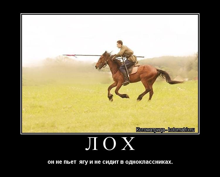 лох он не пьет ягу и не сидит в одноклассниках.... Котоматрица: лох он не пьет ягу и не сидит в одноклассниках.
