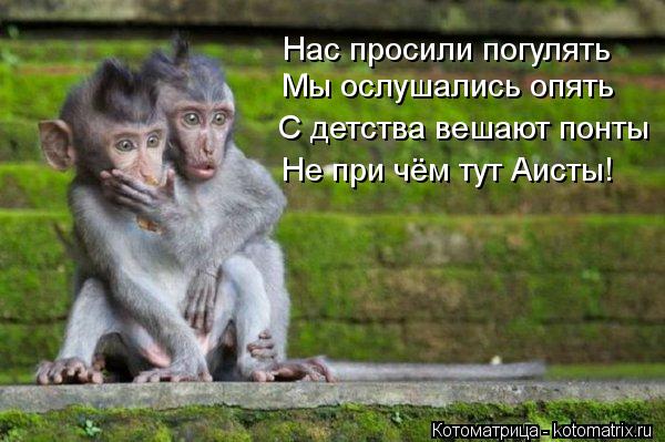 Нас просили погулять Мы ослушались опять С детства вешают понты Не при чём тут Аисты!... Котоматрица: Нас просили погулять Мы ослушались опять С детства вешают понты Не при чём тут Аисты!