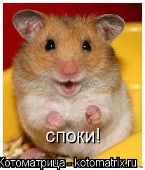 споки!... Котоматрица: споки!