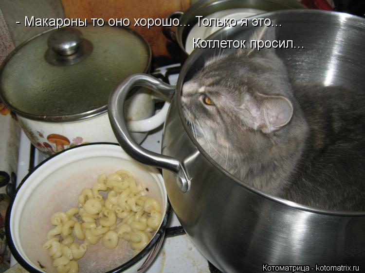 - Макароны то оно хорошо... Только я это... Котлеток просил...... Котоматрица: - Макароны то оно хорошо... Только я это... Котлеток просил...