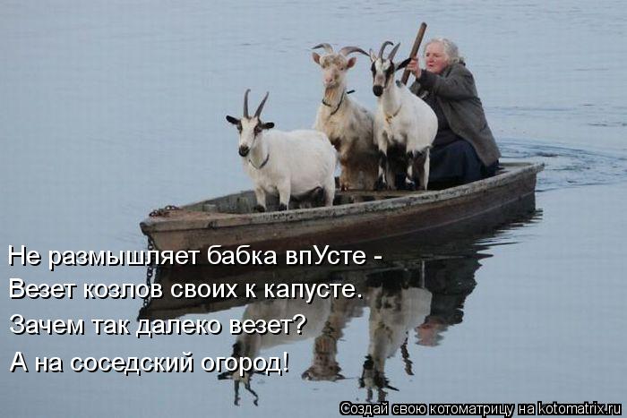 Не размышляет бабка впУсте - Везет козлов своих к капусте. Зачем так далеко везет? А на соседский ог... Котоматрица: Не размышляет бабка впУсте - Везет козлов своих к капусте. Зачем так далеко везет? А на соседский огород!