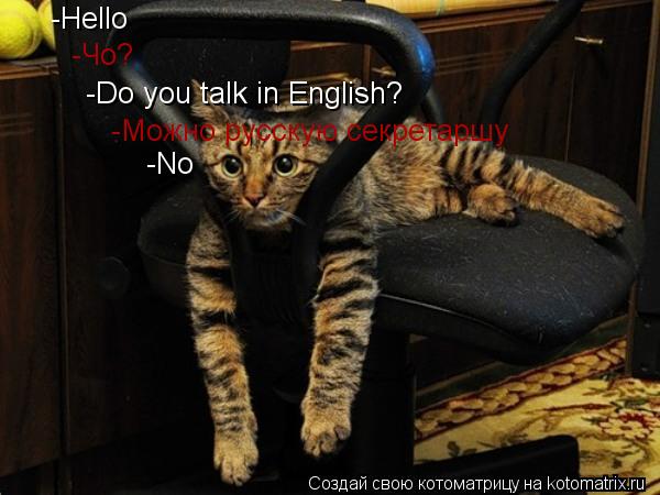 -Hello -Чо? -Do you talk in English? -Можно русскую секретаршу -No... Котоматрица: -Hello -Чо? -Do you talk in English? -Можно русскую секретаршу -No