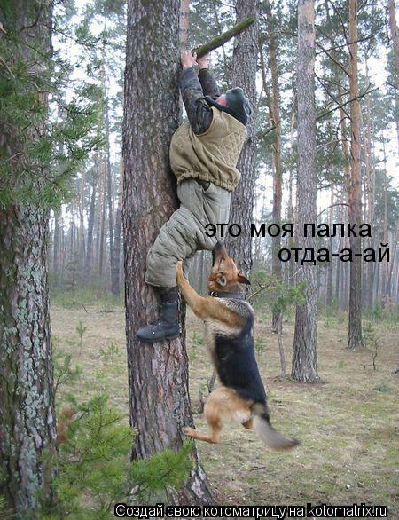 Котоматрица: отда-а-ай это моя палка