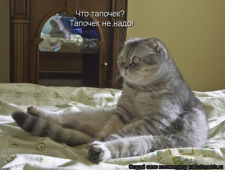 Что тапочек? Тапочек не надо!... Котоматрица: Что тапочек? Тапочек не надо!