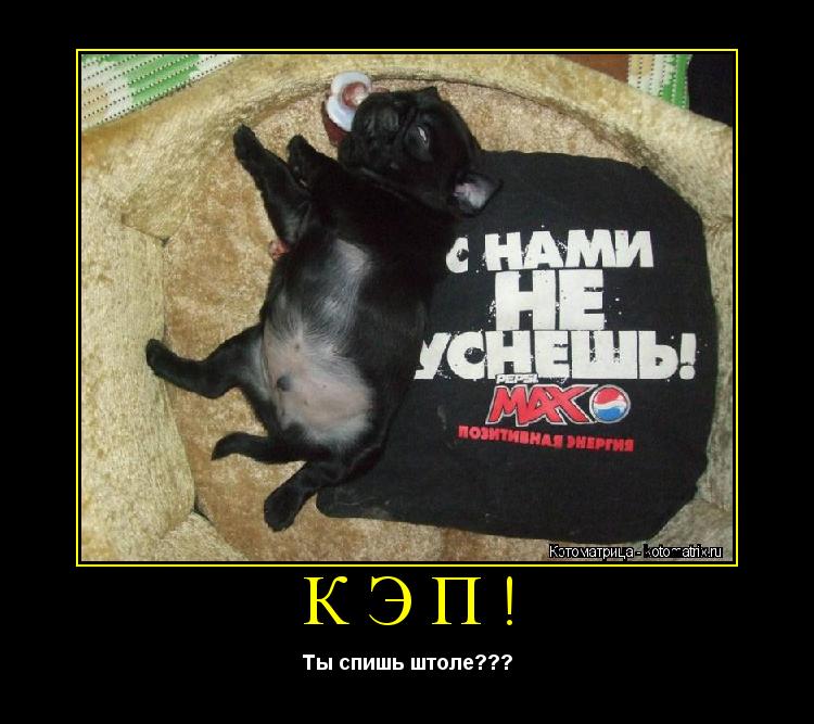 кэп! Ты спишь штоле???... Котоматрица: кэп! Ты спишь штоле???
