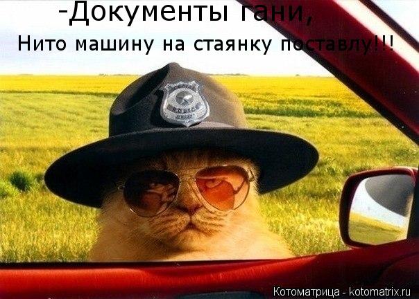 Нито машину на стаянку поставлу!!! -Документы гани,... Котоматрица: Нито машину на стаянку поставлу!!! -Документы гани,