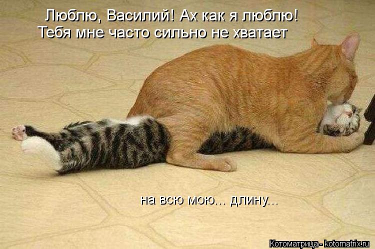 Тебя мне часто сильно не хватает на всю мою... длину... Люблю, Василий! Ах как я люблю!... Котоматрица: Тебя мне часто сильно не хватает на всю мою... длину... Люблю, Василий! Ах как я люблю!