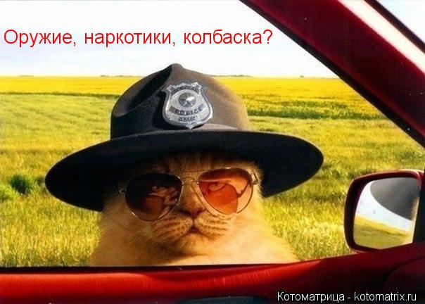 Оружие, наркотики, колбаска?... Котоматрица: Оружие, наркотики, колбаска?