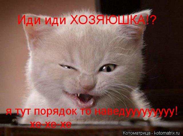Иди иди ХОЗЯЮШКА!? я тут порядок то наведууууууууу! хе-хе-хе... Котоматрица: Иди иди ХОЗЯЮШКА!? я тут порядок то наведууууууууу! хе-хе-хе