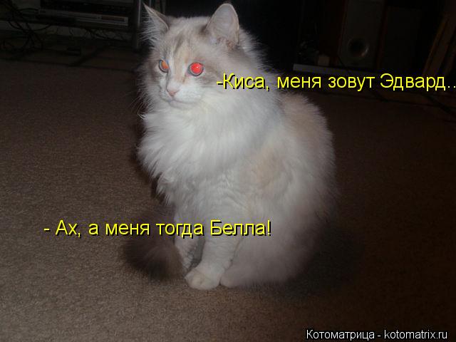 - Ах, а меня тогда Белла! -Киса, меня зовут Эдвард...... Котоматрица: - Ах, а меня тогда Белла! -Киса, меня зовут Эдвард...