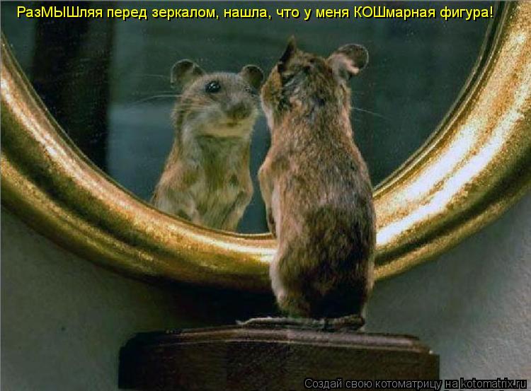 РазМЫШляя перед зеркалом, нашла, что у меня КОШмарная фигура!... Котоматрица: РазМЫШляя перед зеркалом, нашла, что у меня КОШмарная фигура!