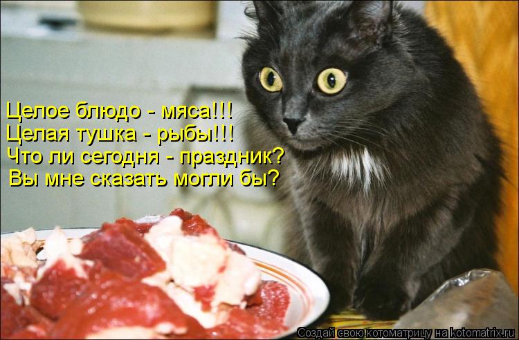 Целое блюдо - мяса!!! Целая тушка - рыбы!!! Что ли сегодня - праздник? Вы мне сказать могли бы?... Котоматрица: Целое блюдо - мяса!!! Целая тушка - рыбы!!! Что ли сегодня - праздник? Вы мне сказать могли бы?