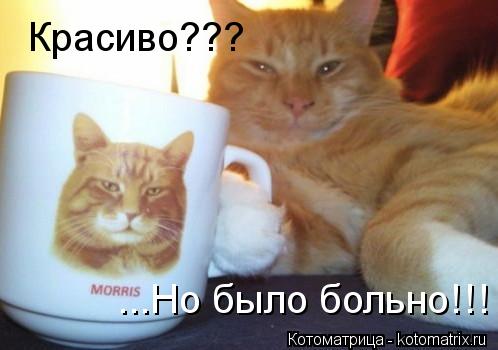 Красиво??? ...Но было больно!!!... Котоматрица: Красиво??? ...Но было больно!!!