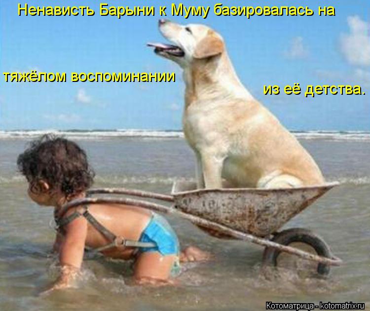 Ненависть Барыни к Муму базировалась на тяжёлом воспоминании из её детства.... Котоматрица: Ненависть Барыни к Муму базировалась на тяжёлом воспоминании из её детства.