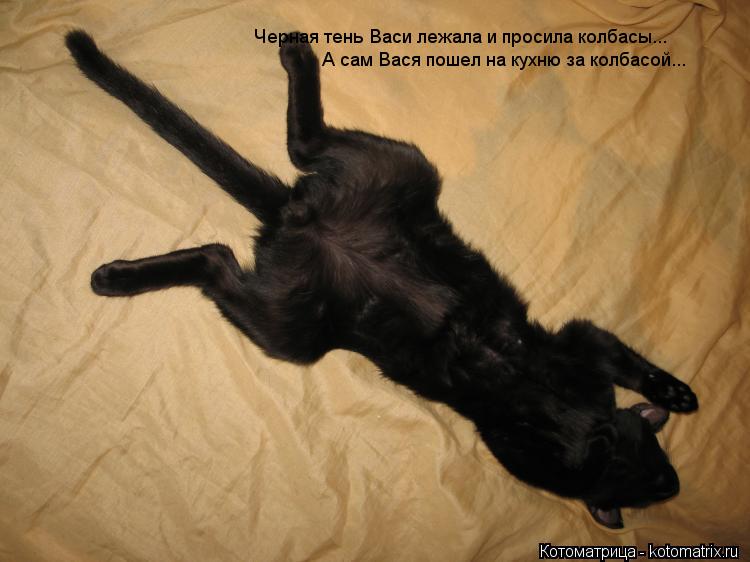 Котоматрица: Черная тень Васи лежала и просила колбасы... А сам Вася пошел на кухню за колбасой...
