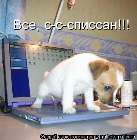 Все, с-с-списсан!!!... Котоматрица: Все, с-с-списсан!!!