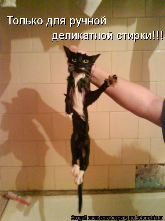 Только для ручной деликатной стирки!!!... Котоматрица: Только для ручной деликатной стирки!!!
