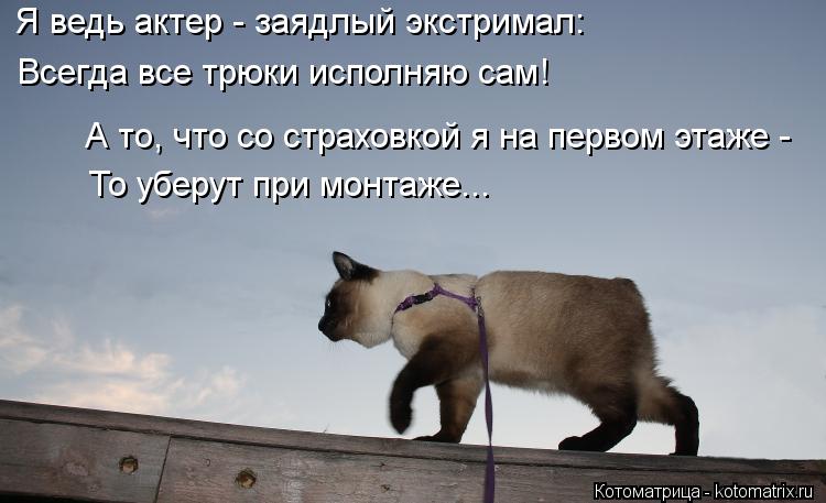 Всегда все трюки исполняю сам! А то, что со страховкой я на первом этаже - То уберут при монтаже... Я... Котоматрица: Всегда все трюки исполняю сам! А то, что со страховкой я на первом этаже - То уберут при монтаже... Я ведь актер - заядлый экстримал: