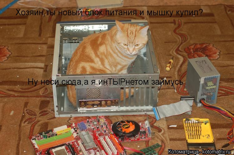 Хозяин,ты новый блок питания и мышку купил? Ну неси сюда,а я инТЫРнетом займусь... Котоматрица: Хозяин,ты новый блок питания и мышку купил? Ну неси сюда,а я инТЫРнетом займусь