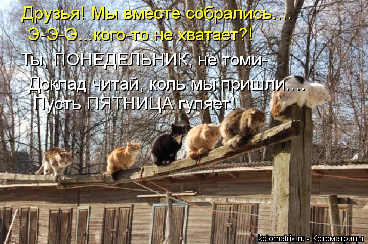 Друзья! Мы вместе собрались.... Э-Э-Э...кого-то не хватает?! Ты, ПОНЕДЕЛЬНИК, не томи- Доклад читай,... Котоматрица: Друзья! Мы вместе собрались.... Э-Э-Э...кого-то не хватает?! Ты, ПОНЕДЕЛЬНИК, не томи- Доклад читай, коль мы пришли.... Пусть ПЯТНИЦА гуляет!