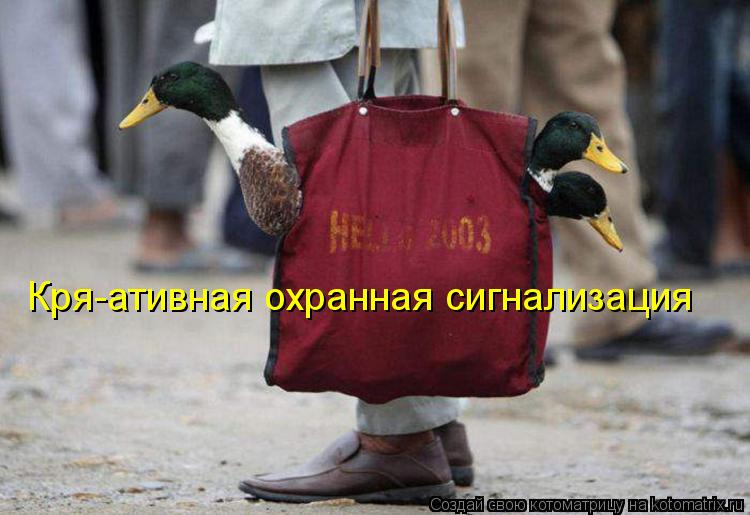 Кря-ативная охранная сигнализация... Котоматрица: Кря-ативная охранная сигнализация