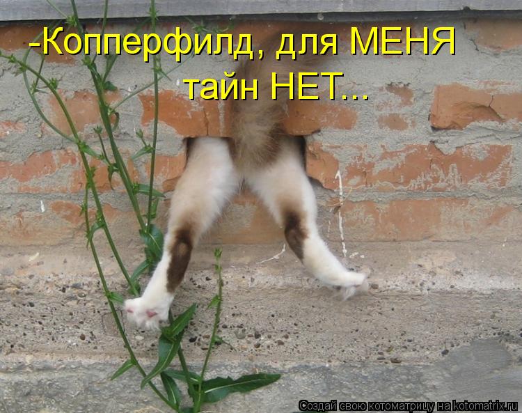 -Копперфилд, для МЕНЯ тайн НЕТ...... Котоматрица: -Копперфилд, для МЕНЯ тайн НЕТ...
