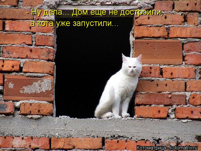 - Ну дела... Дом еще не достроили, а кота уже запустили...... Котоматрица: - Ну дела... Дом еще не достроили, а кота уже запустили...