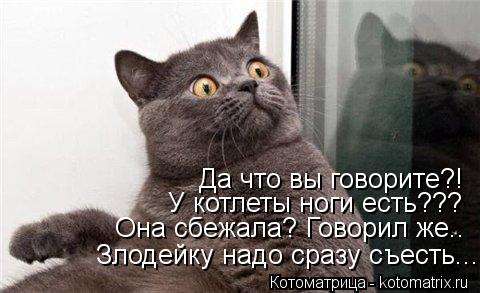Да что вы говорите?! У котлеты ноги есть??? Она сбежала? Говорил же.. Злодейку надо сразу съесть...... Котоматрица: Да что вы говорите?! У котлеты ноги есть??? Она сбежала? Говорил же.. Злодейку надо сразу съесть...