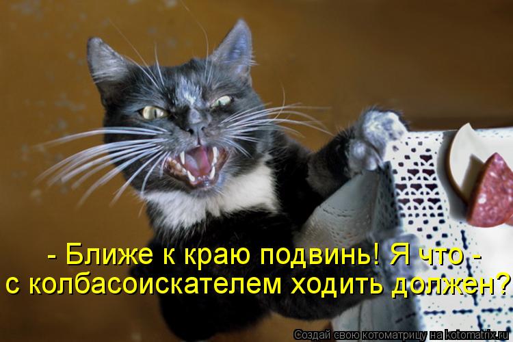 - Ближе к краю подвинь! Я что - с колбасоискателем ходить должен?!!... Котоматрица: - Ближе к краю подвинь! Я что - с колбасоискателем ходить должен?!!