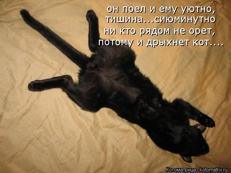 Сонник Чернеть Чернеть сонник