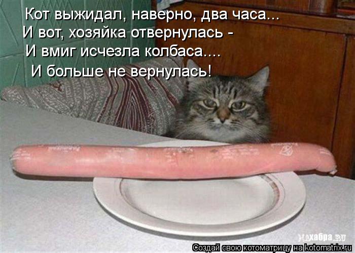 И вот, хозяйка отвернулась - И вмиг исчезла колбаса.... И больше не вернулась! Кот выжидал, наверно, ... Котоматрица: И вот, хозяйка отвернулась - И вмиг исчезла колбаса.... И больше не вернулась! Кот выжидал, наверно, два часа...