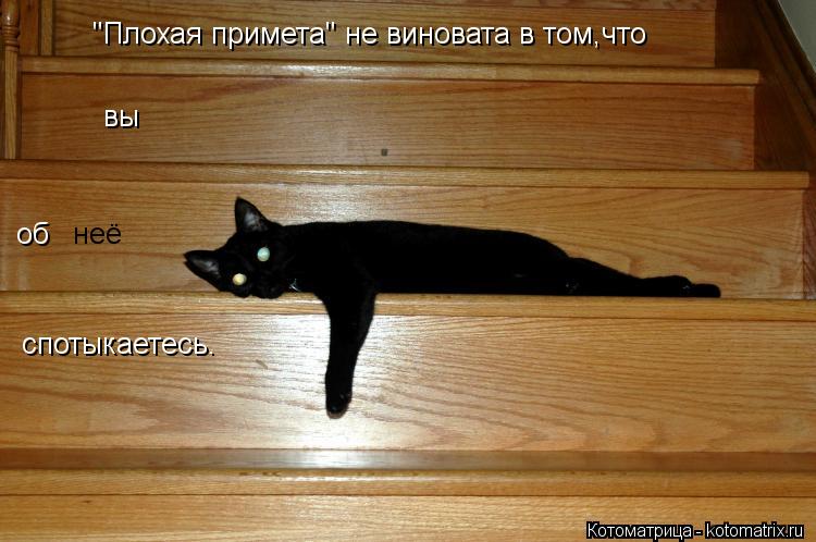 Котоматрица: "Плохая примета" не виновата в том,что вы об  неё спотыкаетесь.