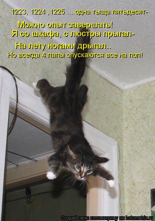 1223, 1224 ,1225 ....одна тыща пятьдесят- Можно опыт завершать! Я со шкафа, с люстры прыгал- На лету ... Котоматрица: 1223, 1224 ,1225 ....одна тыща пятьдесят- Можно опыт завершать! Я со шкафа, с люстры прыгал- На лету ногами дрыгал.. Но всегда 4 лапы опускаются все на п