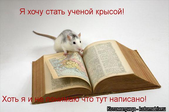 Котоматрица: Я хочу стать ученой крысой! Хоть я и не понимаю что тут написано!