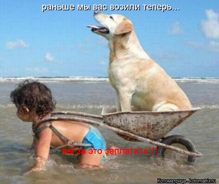 раньше мы вас возили теперь... вы за это заплатите!!!... Котоматрица: раньше мы вас возили теперь... вы за это заплатите!!!