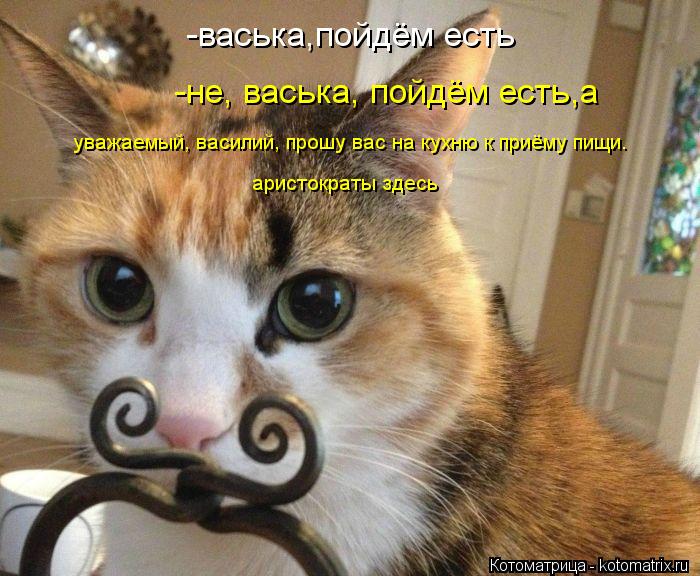 -васька,пойдём есть -не, васька, пойдём есть,а уважаемый, василий, прошу вас на кухню к приёму пищи.... Котоматрица: -васька,пойдём есть -не, васька, пойдём есть,а уважаемый, василий, прошу вас на кухню к приёму пищи. аристократы здесь