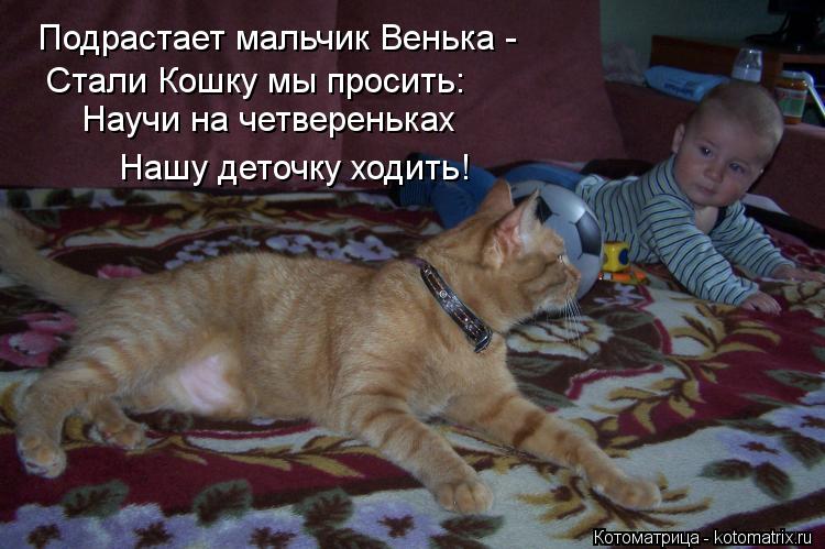 Подрастает мальчик Венька - Стали Кошку мы просить: Научи на четвереньках Нашу деточку ходить!... Котоматрица: Подрастает мальчик Венька - Стали Кошку мы просить: Научи на четвереньках Нашу деточку ходить!