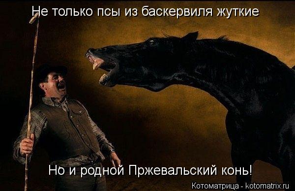 Не только псы из баскервиля жуткие Но и родной Пржевальский конь!... Котоматрица: Не только псы из баскервиля жуткие Но и родной Пржевальский конь!
