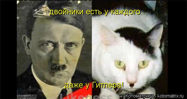 двойники есть у каждого... даже у Гитлера!... Котоматрица: двойники есть у каждого... даже у Гитлера!