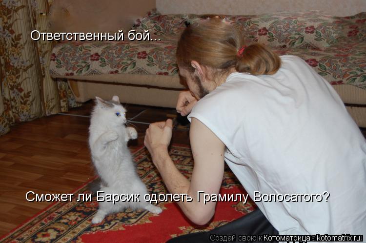 Котоматрица: Ответственный бой... Сможет ли Барсик одолеть Грамилу Волосатого?