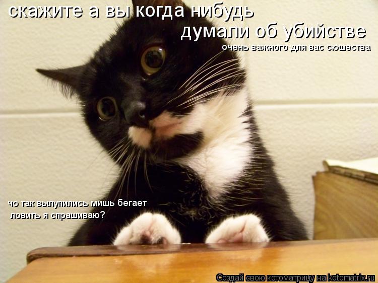 скажите а вы когда нибудь думали об убийстве очень важного для вас сюшества чо так вылупились мишь б... Котоматрица: скажите а вы когда нибудь думали об убийстве очень важного для вас сюшества чо так вылупились мишь бегает ловить я спрашиваю?