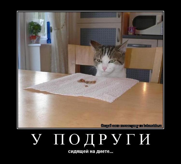 у подруги сидящей на диете...... Котоматрица: у подруги сидящей на диете...