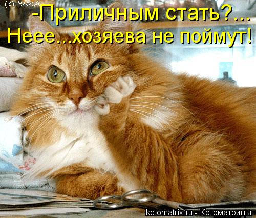 -Приличным стать?... Неее...хозяева не поймут!... Котоматрица: -Приличным стать?... Неее...хозяева не поймут!