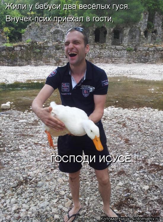 Жили у бабуси два весёлых гуся. Внучек-псих приехал в гости, ГОСПОДИ ИСУСЕ ! ГОСПОДИ ИСУСЕ !... Котоматрица: Жили у бабуси два весёлых гуся. Внучек-псих приехал в гости, ГОСПОДИ ИСУСЕ ! ГОСПОДИ ИСУСЕ !