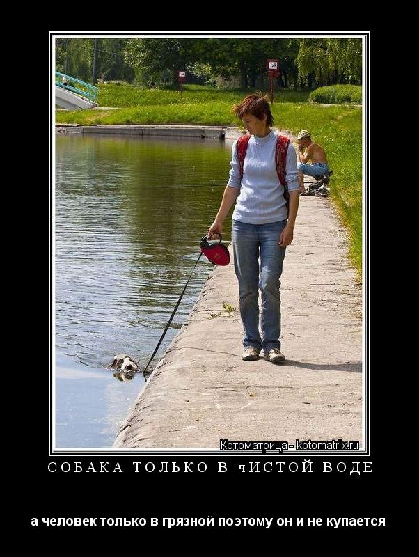 собака только в чистой воде а человек только в грязной поэтому он и не купается ... Котоматрица: собака только в чистой воде а человек только в грязной поэтому он и не купается