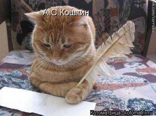 А.С.Кошкин... Котоматрица: А.С.Кошкин