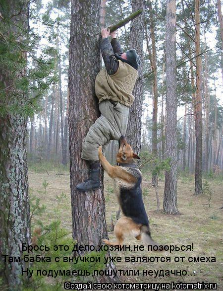 Брось это дело,хозяин,не позорься! Там бабка с внучкой уже валяются от смеха Ну подумаешь,пошутили не... Котоматрица: Брось это дело,хозяин,не позорься! Там бабка с внучкой уже валяются от смеха Ну подумаешь,пошутили неудачно...